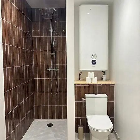 Le Petit Palais, En Hyper Centre De Apartment *